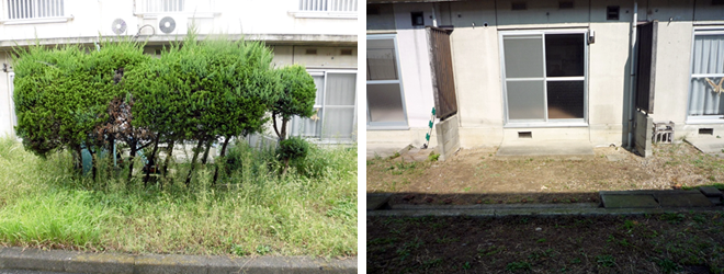 庭の清掃