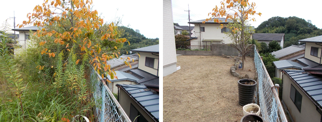 庭木剪定及び除草